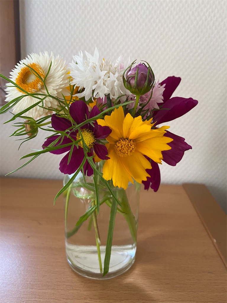 f:id:maro4:20220605174437j:image f:id:maro4:20220605174437j:image