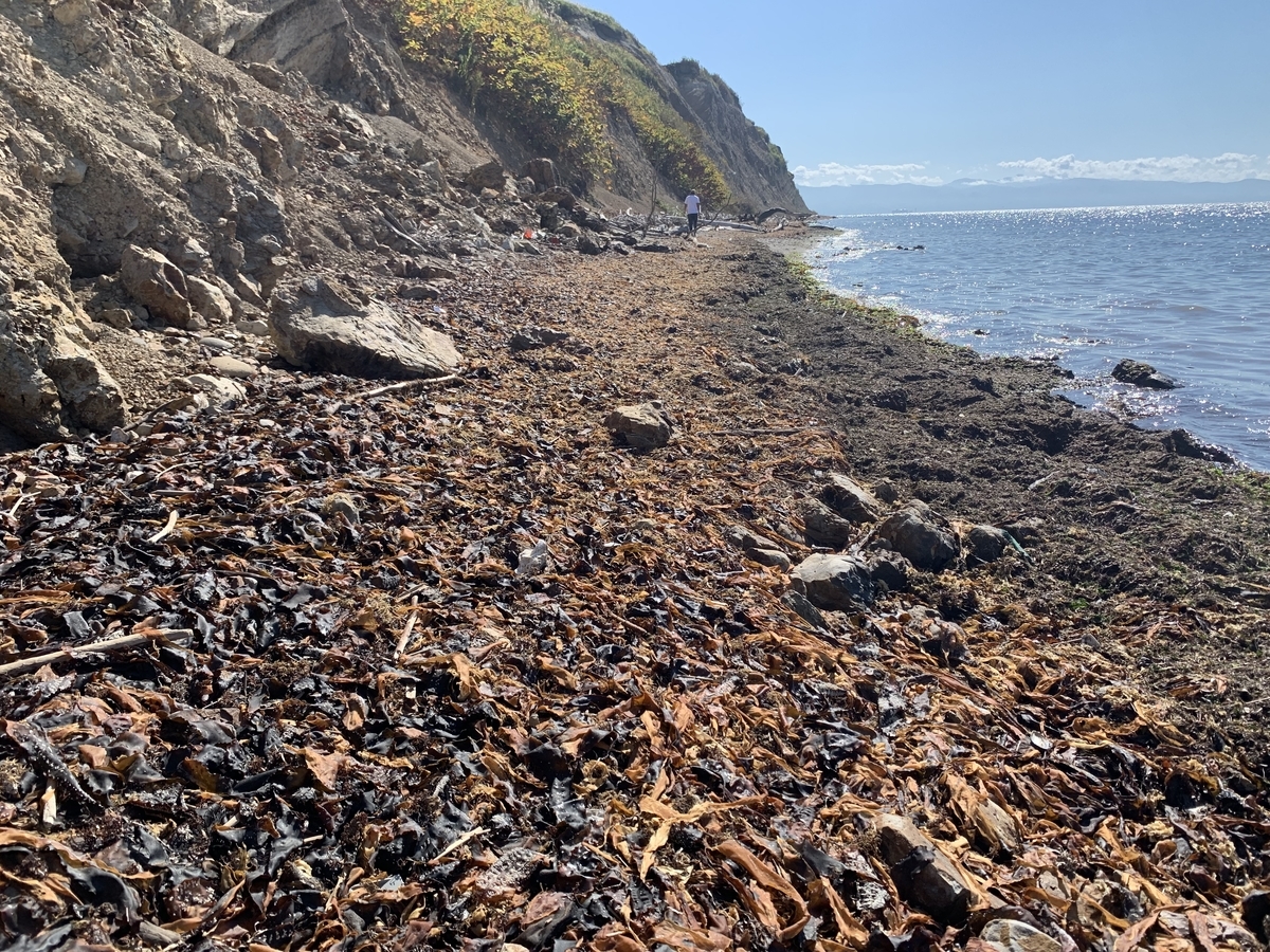 f:id:maro_mix:20210921010903j:plain