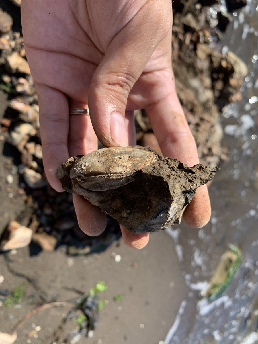 f:id:maro_mix:20210921011001j:plain