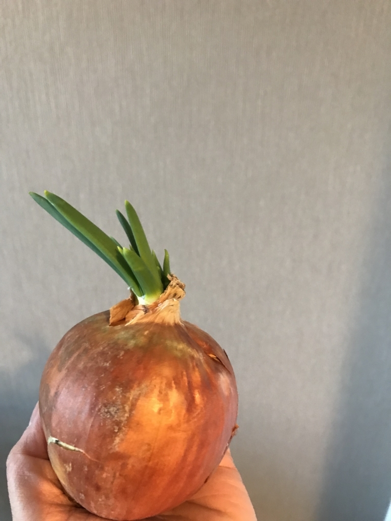 減らない 消えモノ なかなか減らせない たべもの のこと 玉ねぎの芽のこと スッキリせいとん 減らない 消えモノ なかなか減らせない たべもの のこと 玉ねぎの芽のこと スッキリせいとん