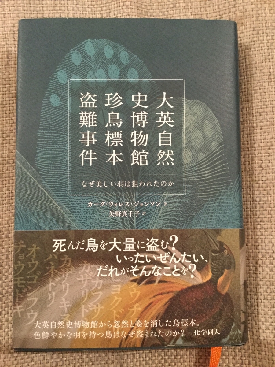 f:id:marohide:20200111002233j:plain f:id:marohide:20200111002233j:plain