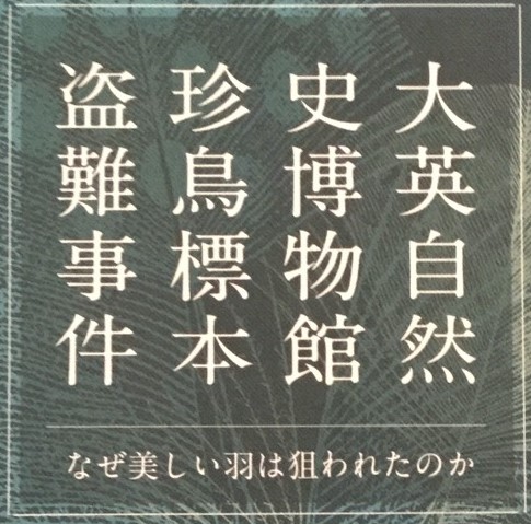 f:id:marohide:20200111015519j:plain f:id:marohide:20200111015519j:plain