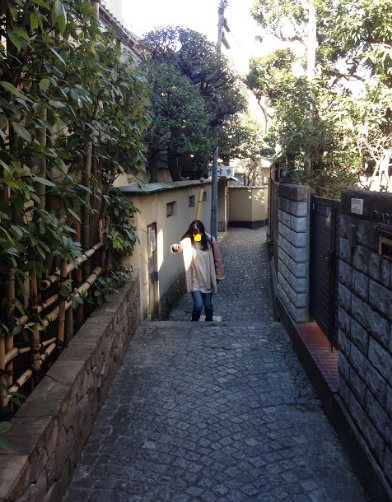 f:id:maromaiko:20170212201047p:plain
