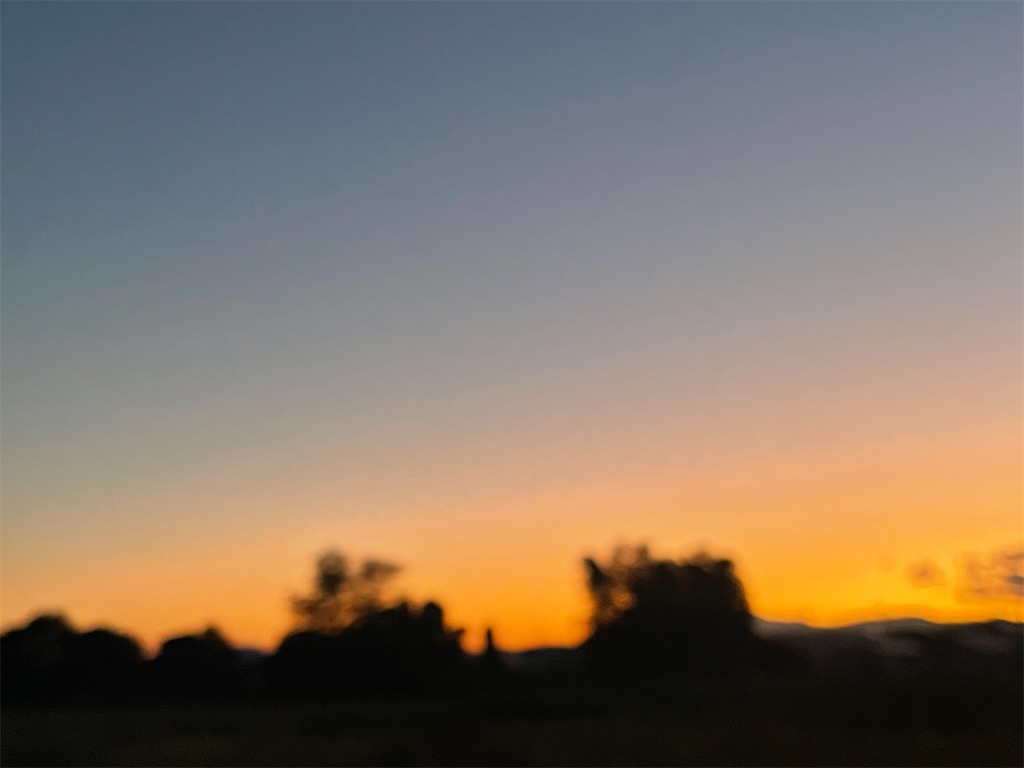 f:id:maromaro5656:20241110231854j:image