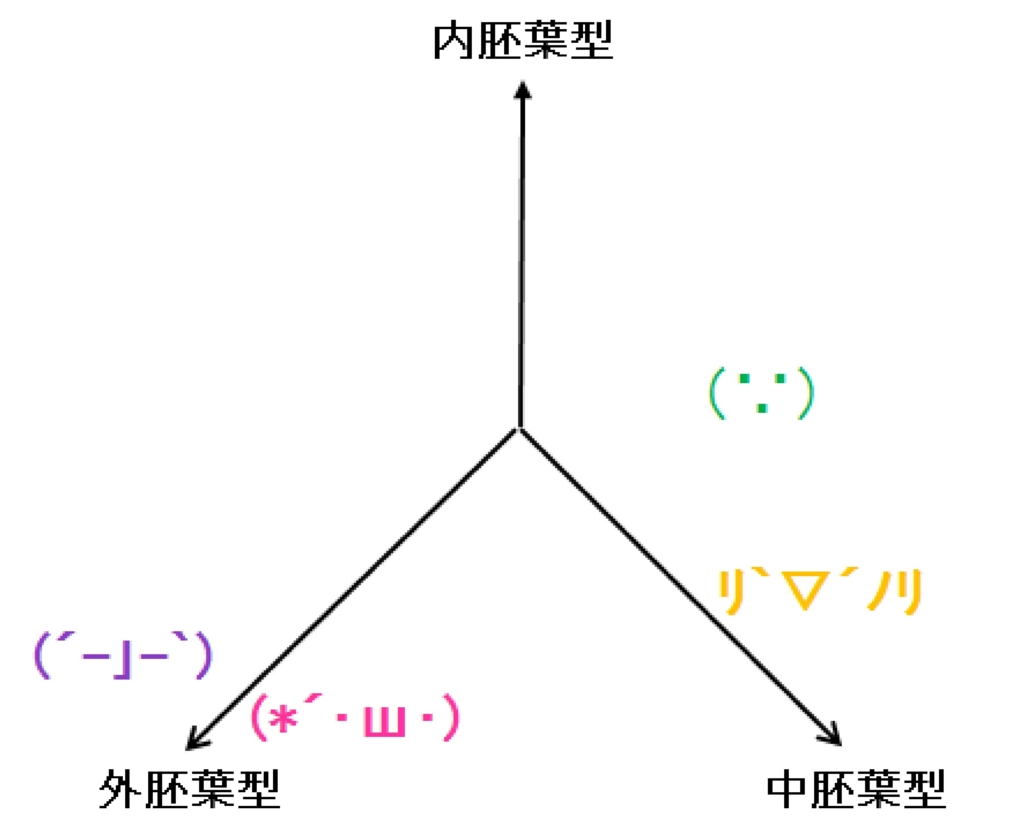 f:id:maromayubanana:20161203223630j:plain