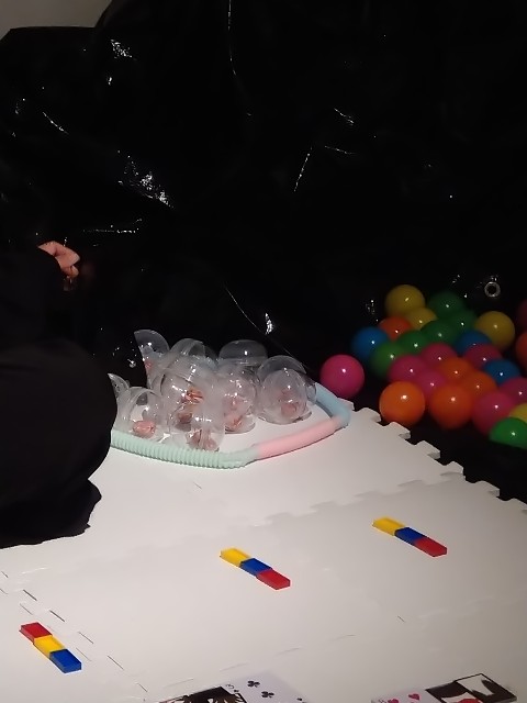 f:id:maromayubanana:20220706170305j:image