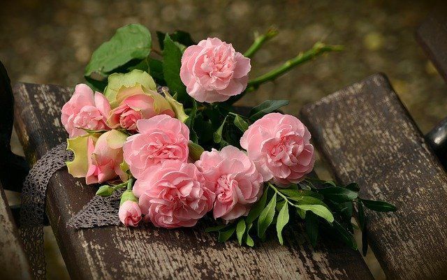 f:id:marondiary:20201010234029j:plain f:id:marondiary:20201010234029j:plain