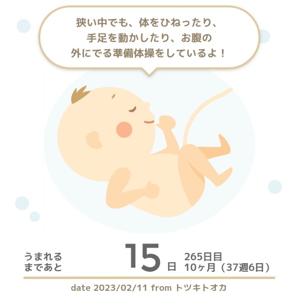 f:id:maronlife:20230211220023j:image