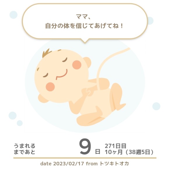 f:id:maronlife:20230217202717j:image