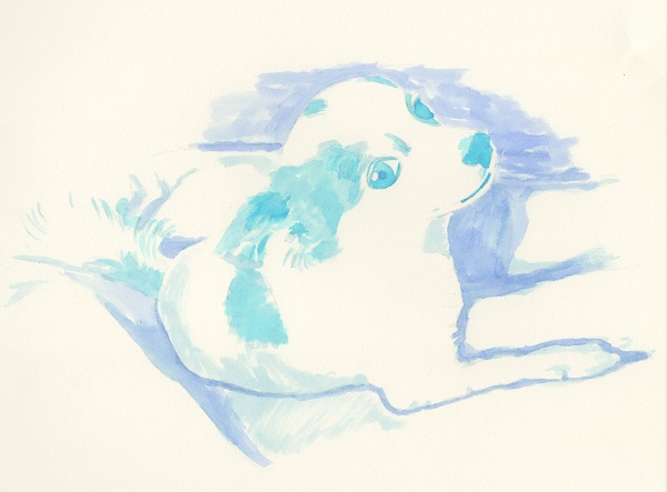 f:id:maronmame:20170209101142j:plain f:id:maronmame:20170209101142j:plain