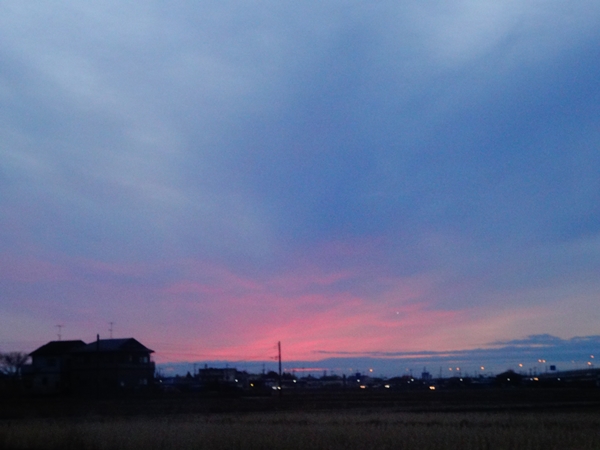 f:id:maronmame:20170209102156j:plain f:id:maronmame:20170209102156j:plain