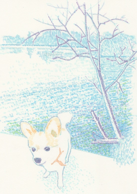 f:id:maronmame:20170210140608j:plain
