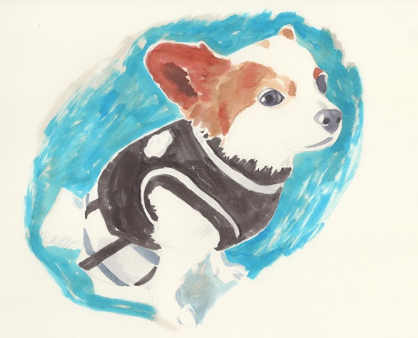 f:id:maronmame:20170216143114j:plain