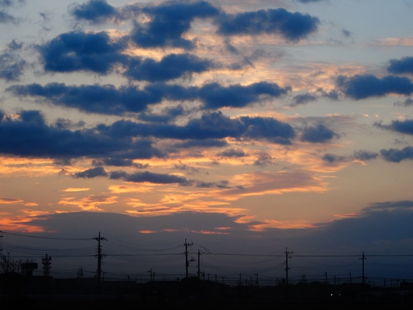 f:id:maronmame:20170220102247j:plain f:id:maronmame:20170220102247j:plain