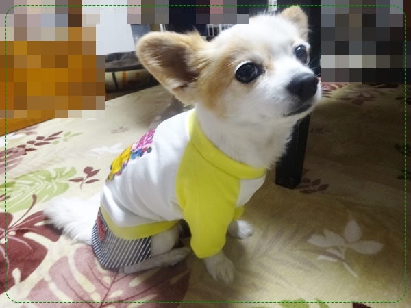 f:id:maronmame:20170328095640j:plain