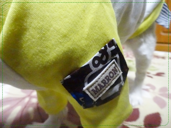 f:id:maronmame:20170328095736j:plain