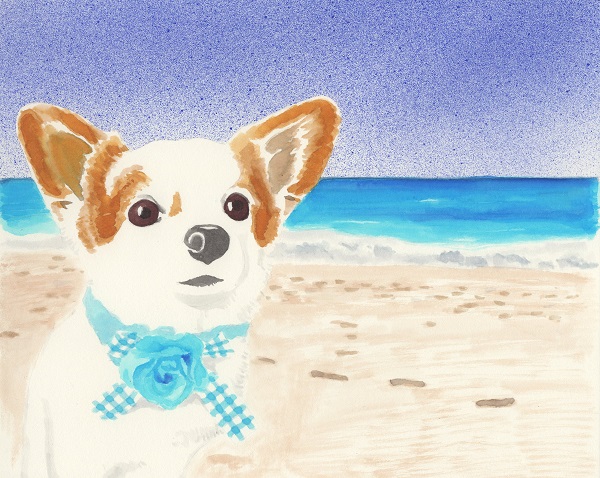 f:id:maronmame:20170406091758j:plain