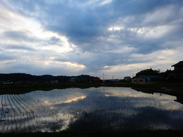 f:id:maronmame:20170428084322j:plain f:id:maronmame:20170428084322j:plain