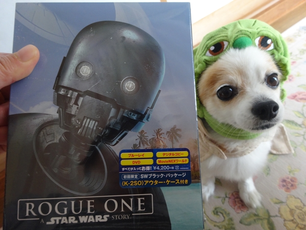 f:id:maronmame:20170428084434j:plain f:id:maronmame:20170428084434j:plain