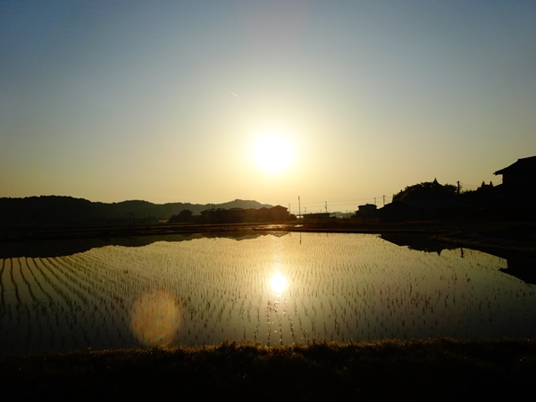 f:id:maronmame:20170430100419j:plain