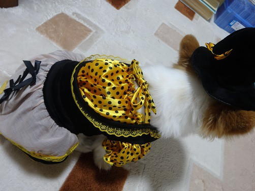 f:id:maronmame:20170506130012j:plain