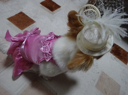 f:id:maronmame:20170506130228j:plain