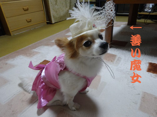 f:id:maronmame:20170506130257j:plain