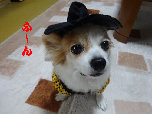 f:id:maronmame:20170506130443j:plain