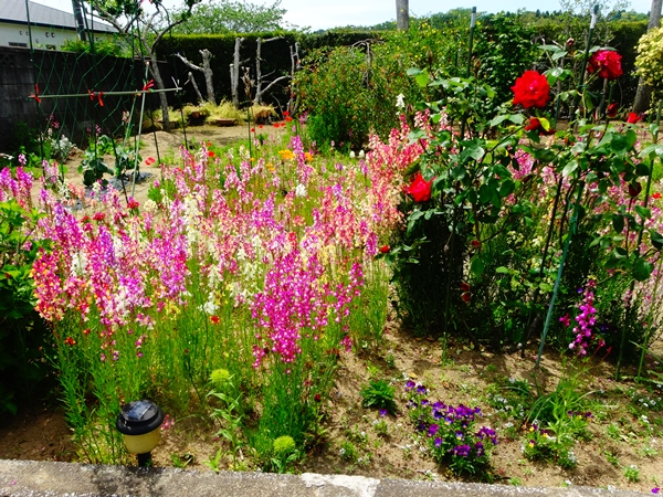 f:id:maronmame:20170507112249j:plain