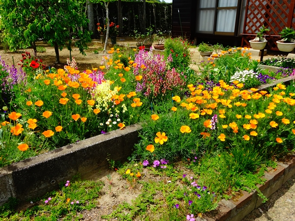 f:id:maronmame:20170507112306j:plain