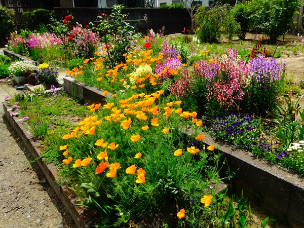 f:id:maronmame:20170507112321j:plain