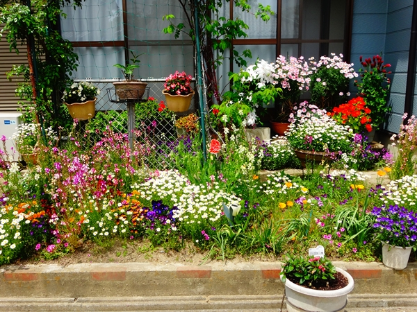 f:id:maronmame:20170507112338j:plain