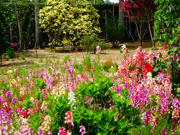 f:id:maronmame:20170507112354j:plain