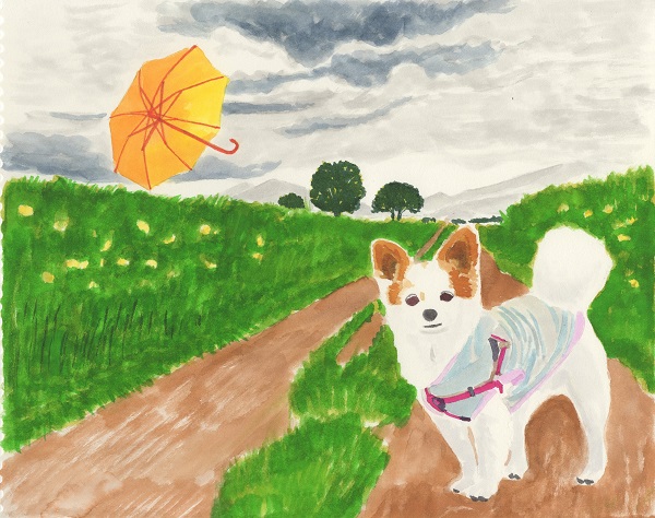 f:id:maronmame:20170509090538j:plain