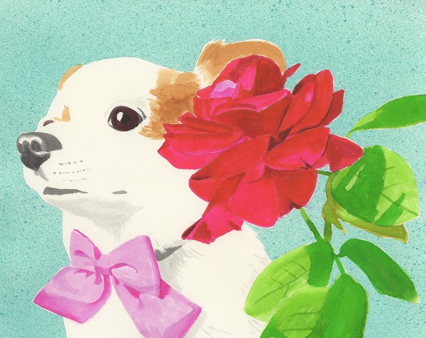 f:id:maronmame:20170513082808j:plain