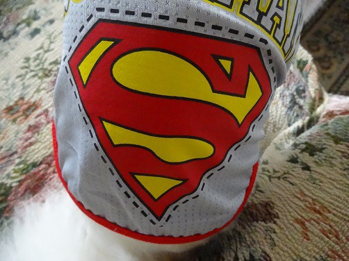 f:id:maronmame:20170514180947j:plain