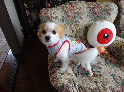 f:id:maronmame:20170514181023j:plain