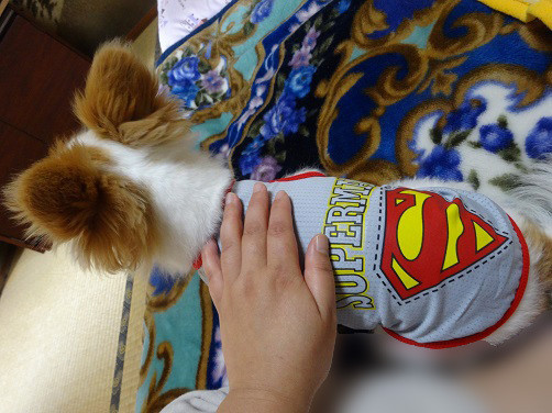 f:id:maronmame:20170514181843j:plain