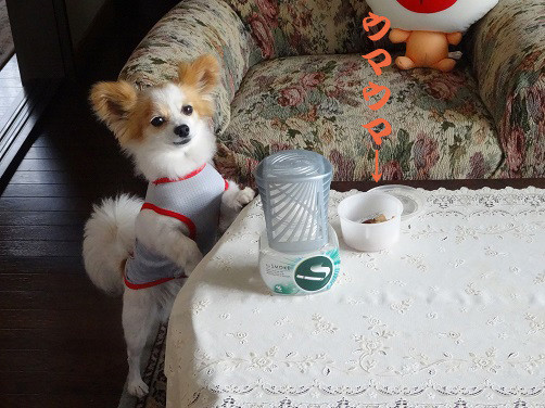 f:id:maronmame:20170514182107j:plain