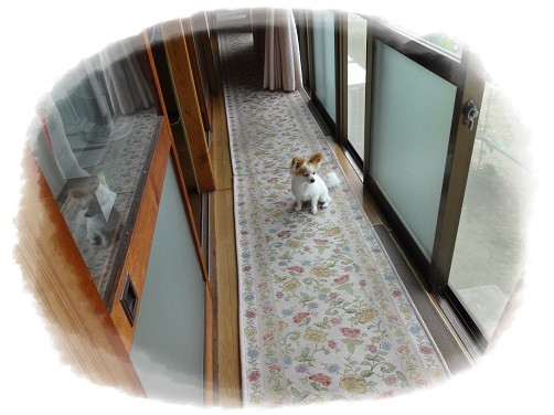 f:id:maronmame:20170514182423j:plain