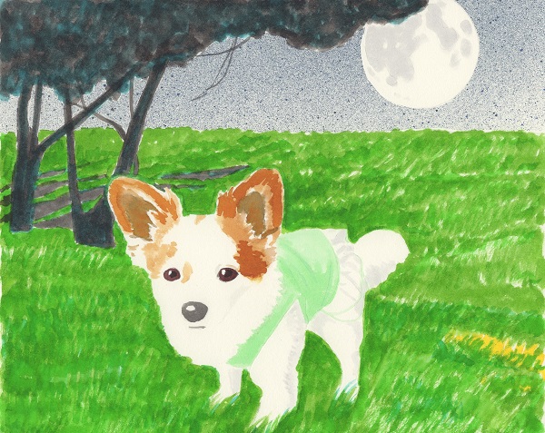 f:id:maronmame:20170515085455j:plain