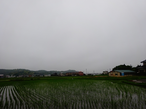 f:id:maronmame:20170515090630j:plain