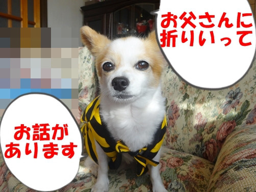 f:id:maronmame:20170518123321j:plain