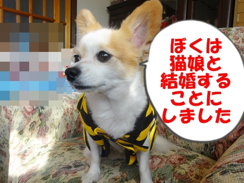 f:id:maronmame:20170518123336j:plain