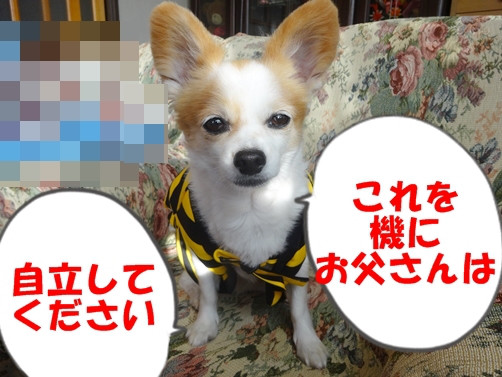 f:id:maronmame:20170518123421j:plain