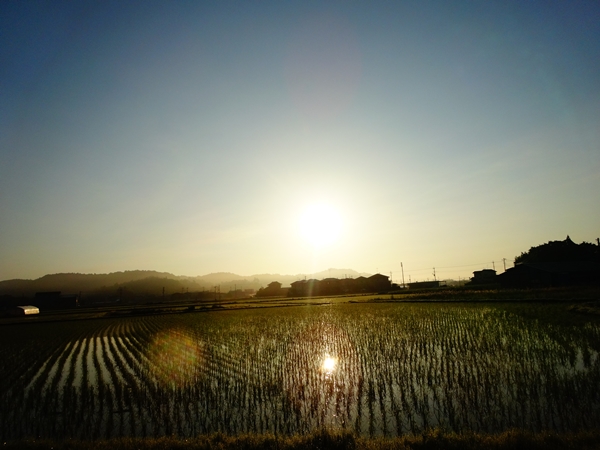 f:id:maronmame:20170519143149j:plain