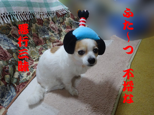 f:id:maronmame:20170521070643j:plain