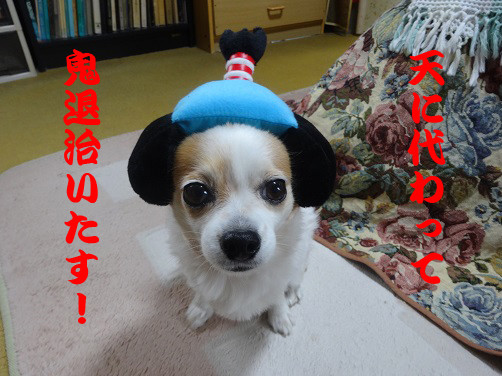 f:id:maronmame:20170521070718j:plain