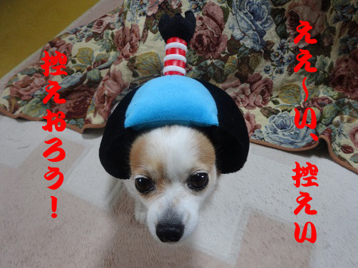 f:id:maronmame:20170521070730j:plain