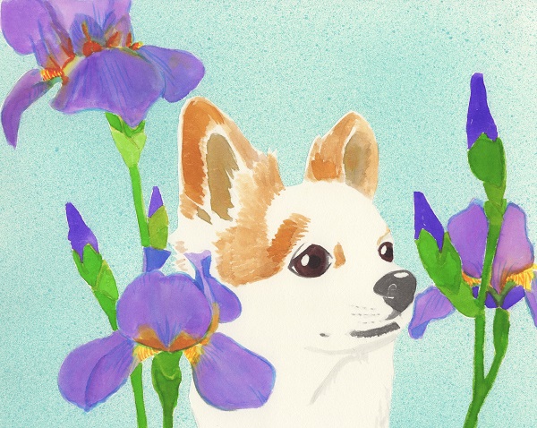 f:id:maronmame:20170524081318j:plain